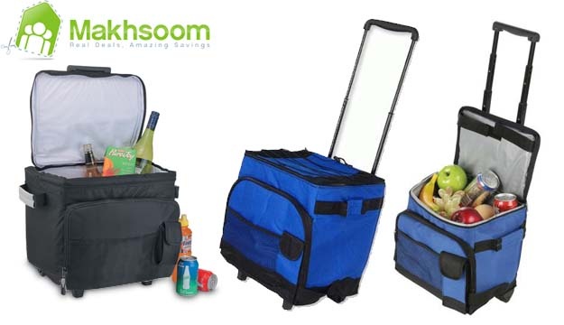 50% Off Cooler Picnic Bag (Only $17.5 instead of $35)