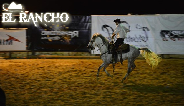 50% Off 1 Full Day of Activities from El Rancho, Ghodras (Only $20 instead of $40)