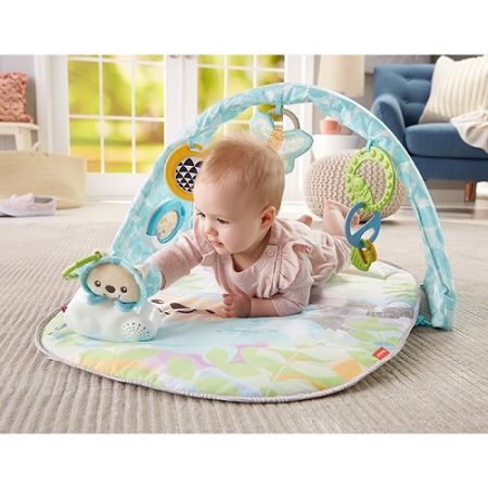 Fisher Price Butterfly Dreams Gym 0m+ Makhsoom
