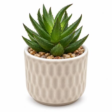 Mini Artificial Succulent Plant Ceramic Pot H 8 x Diam. 6 cm