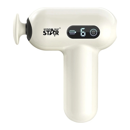 Winning Star Rechargeable Massage Gun with 4 Heads - 6 Speeds - 8W - ST-6400