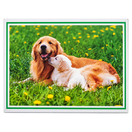Dogs Jigsaw Puzzle 1000 Pcs - 14+ Years