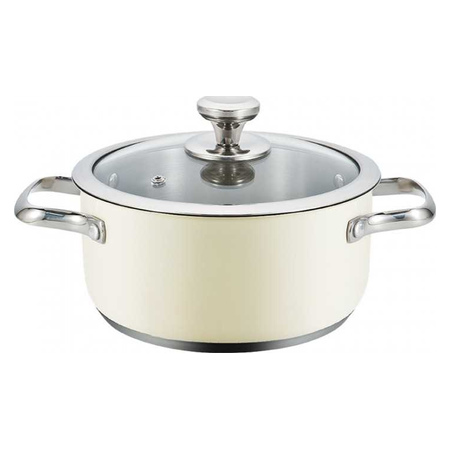 Haeger Pastel Pot 20H Stainless Steel Cooking Pot with Lid - 20 cm