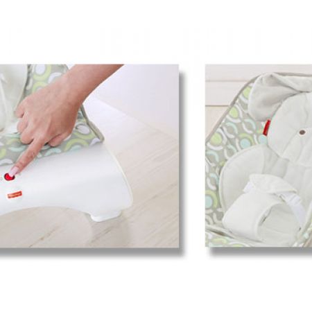 fisher price deluxe comfort curve bouncer