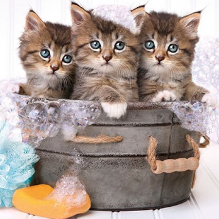 Clementoni Puzzle Fluffy Kitten De 500 Piezas – Imagen HD De Gatito, Materiales Sostenibles, Hecho En Italia