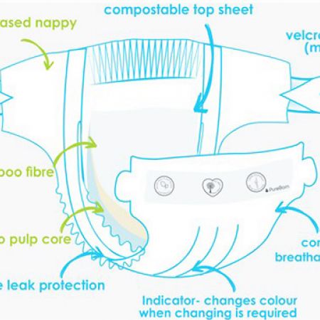 pureborn diapers size 3